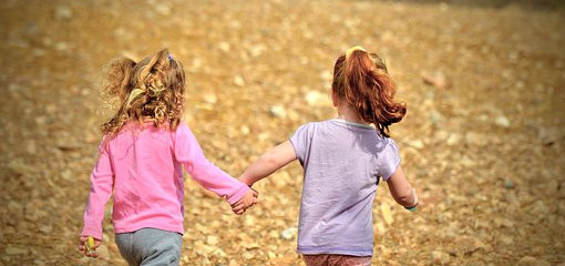 Vztahy mezi biologickými a přijatými sourozenci